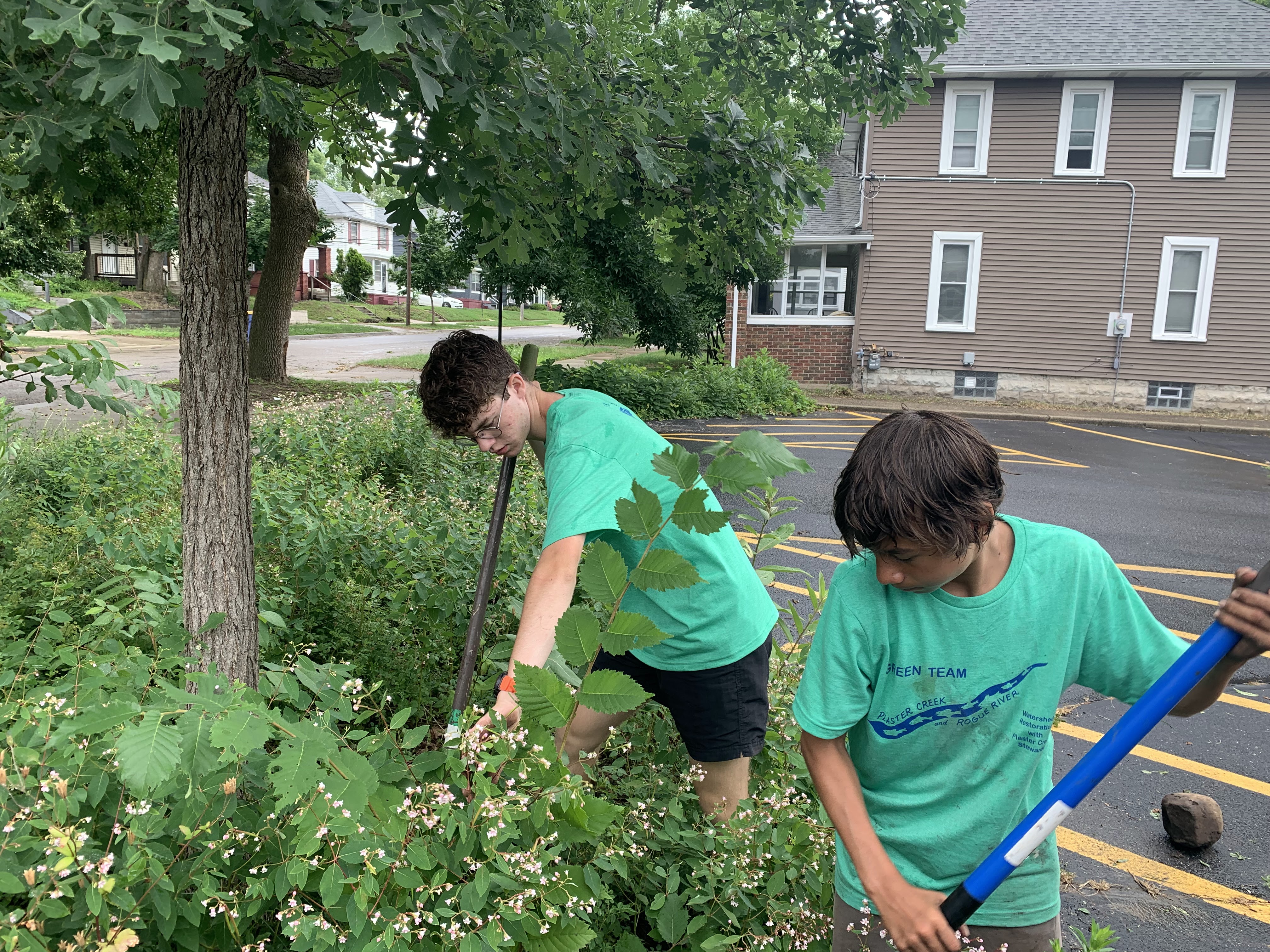 Students maintaining a rain garden