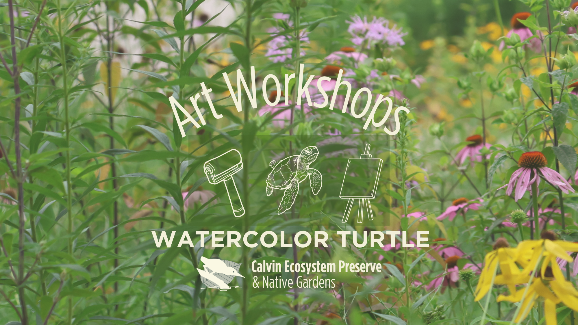watercolor turtles