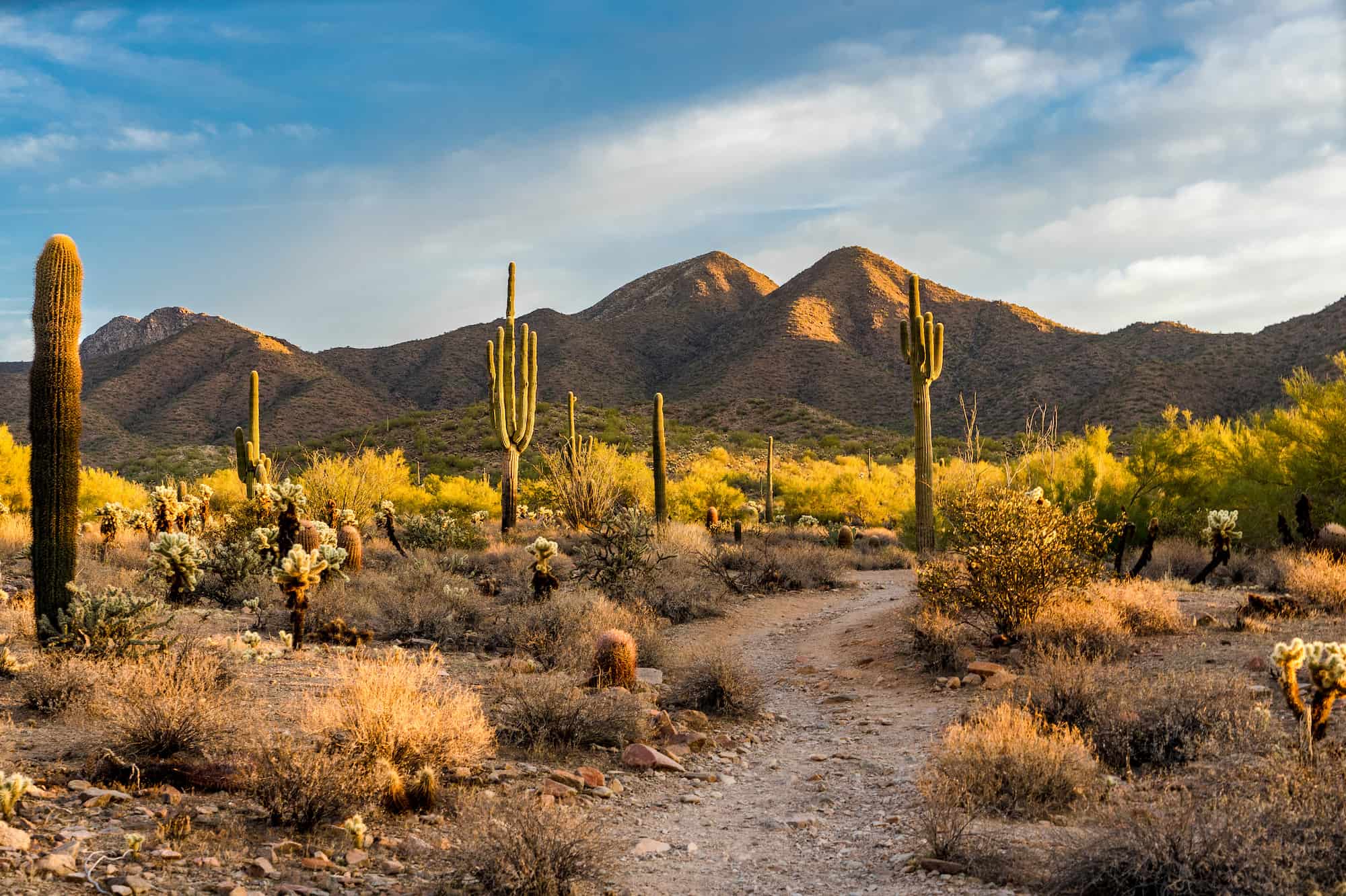 arizona-min