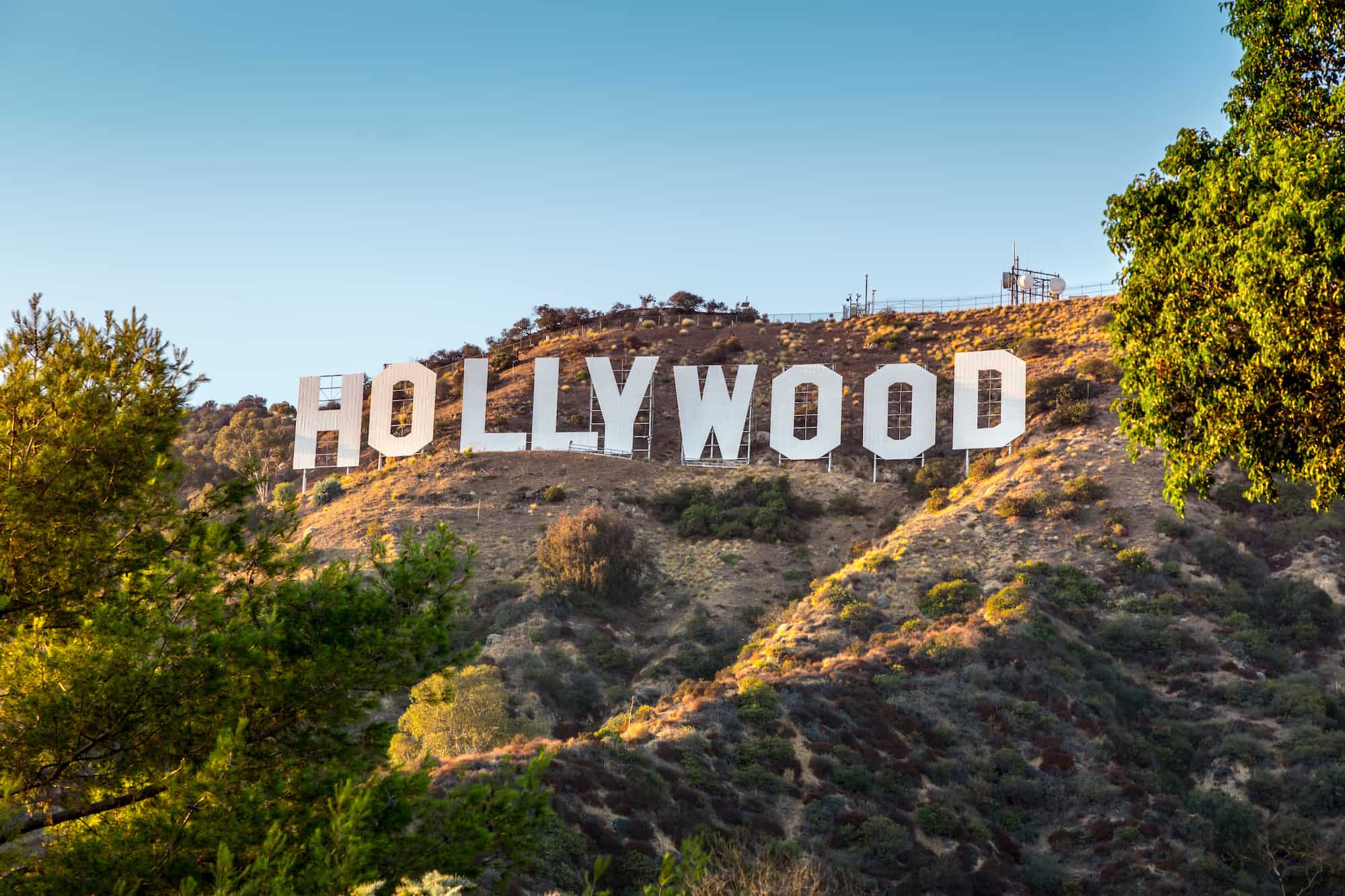 hollywood-min