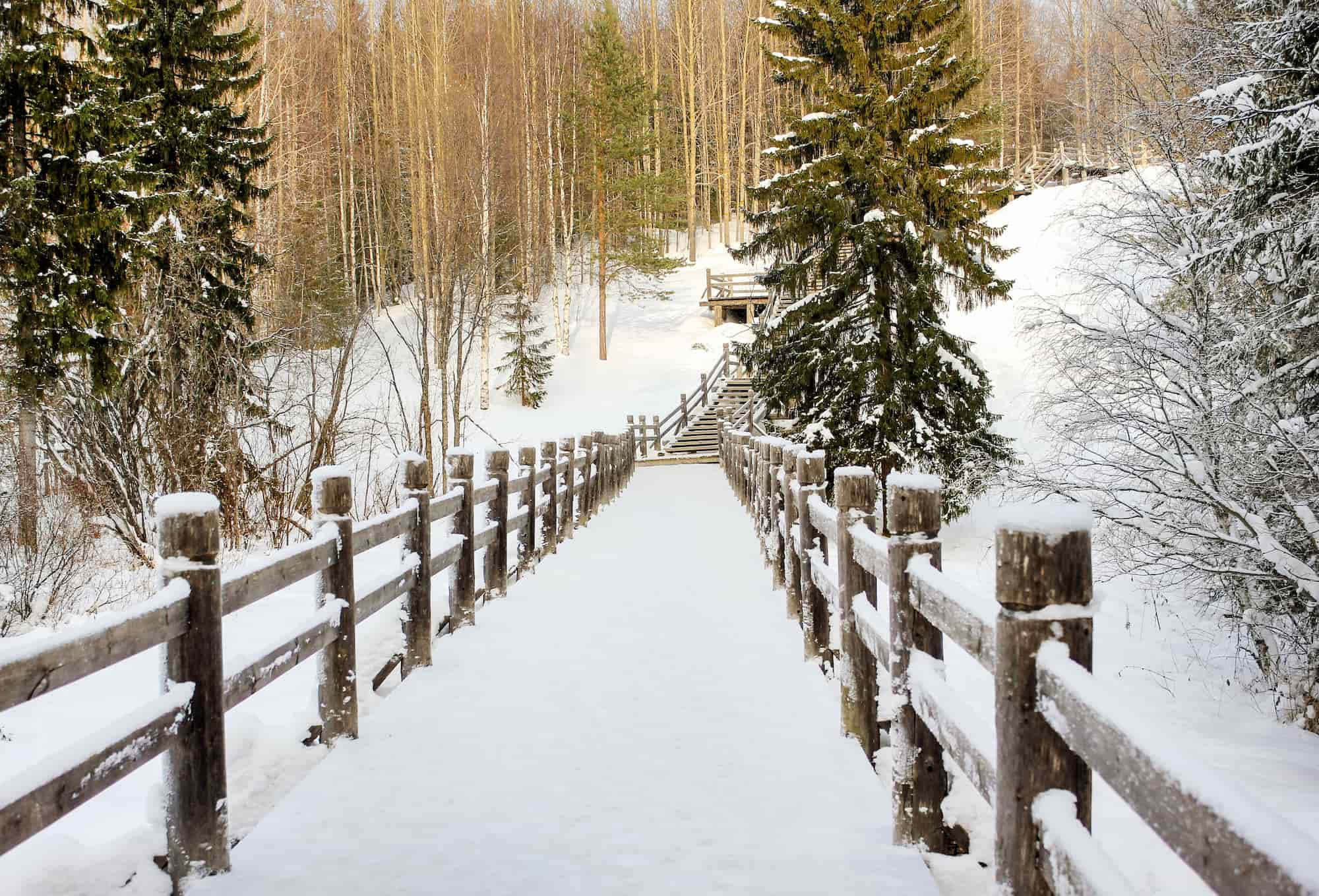 life-in-winter