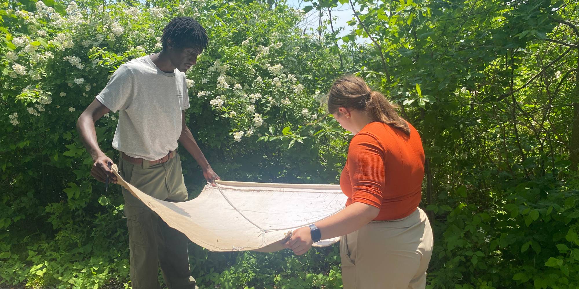 Two Calvin students holding a sheet outdoors after doing tick dragging.