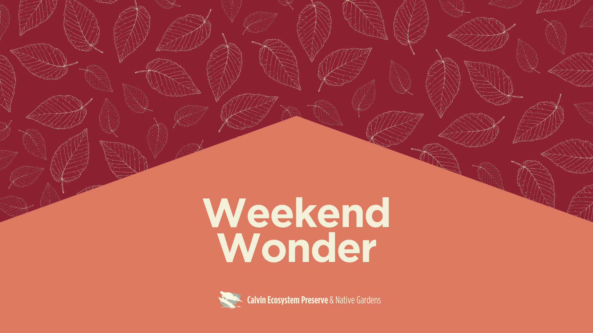 Weekend Wonder header
