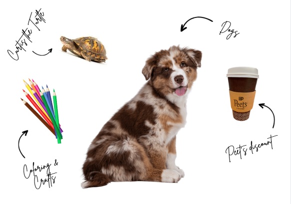 Recharge for finals with therapy dog turtles coloring crafts and Peets coupon giveaway