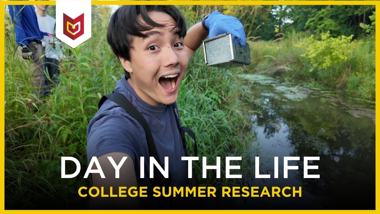 Stem research thumbnail