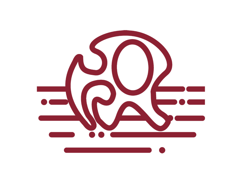 5 first gen students