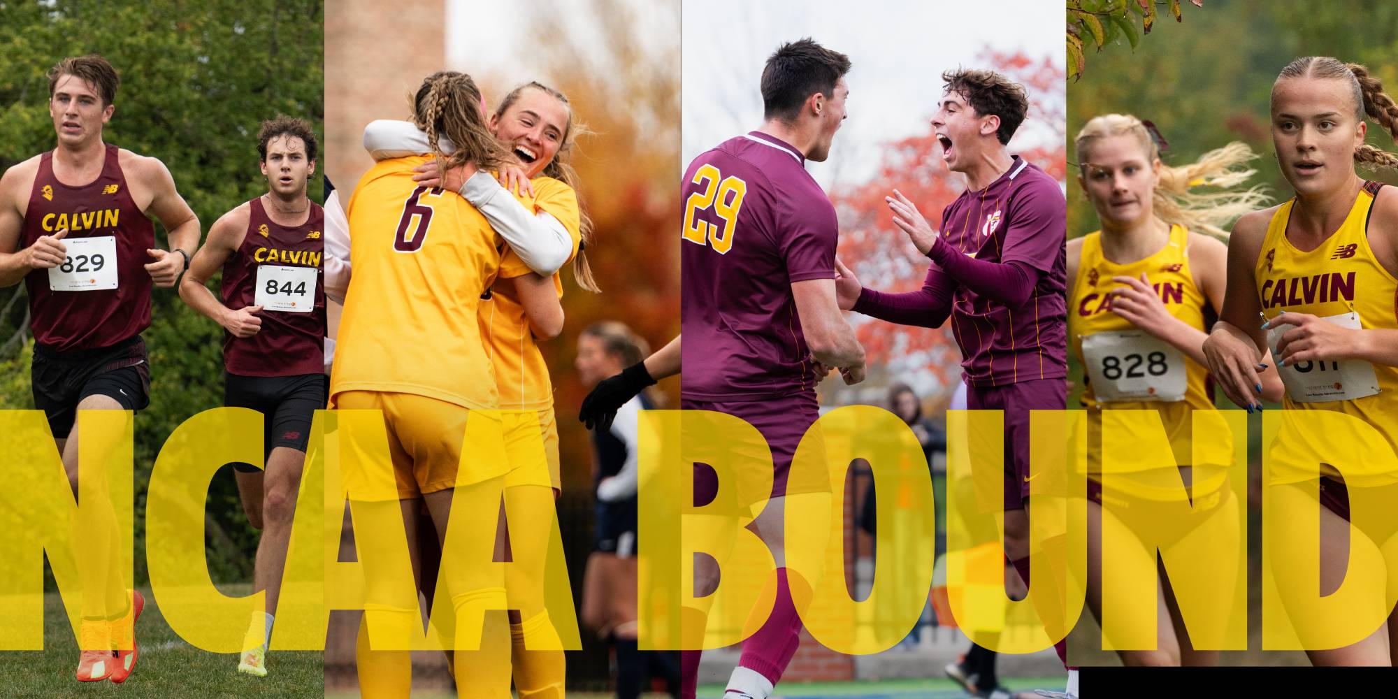 Athletics competing and celebrating from Calvin teams