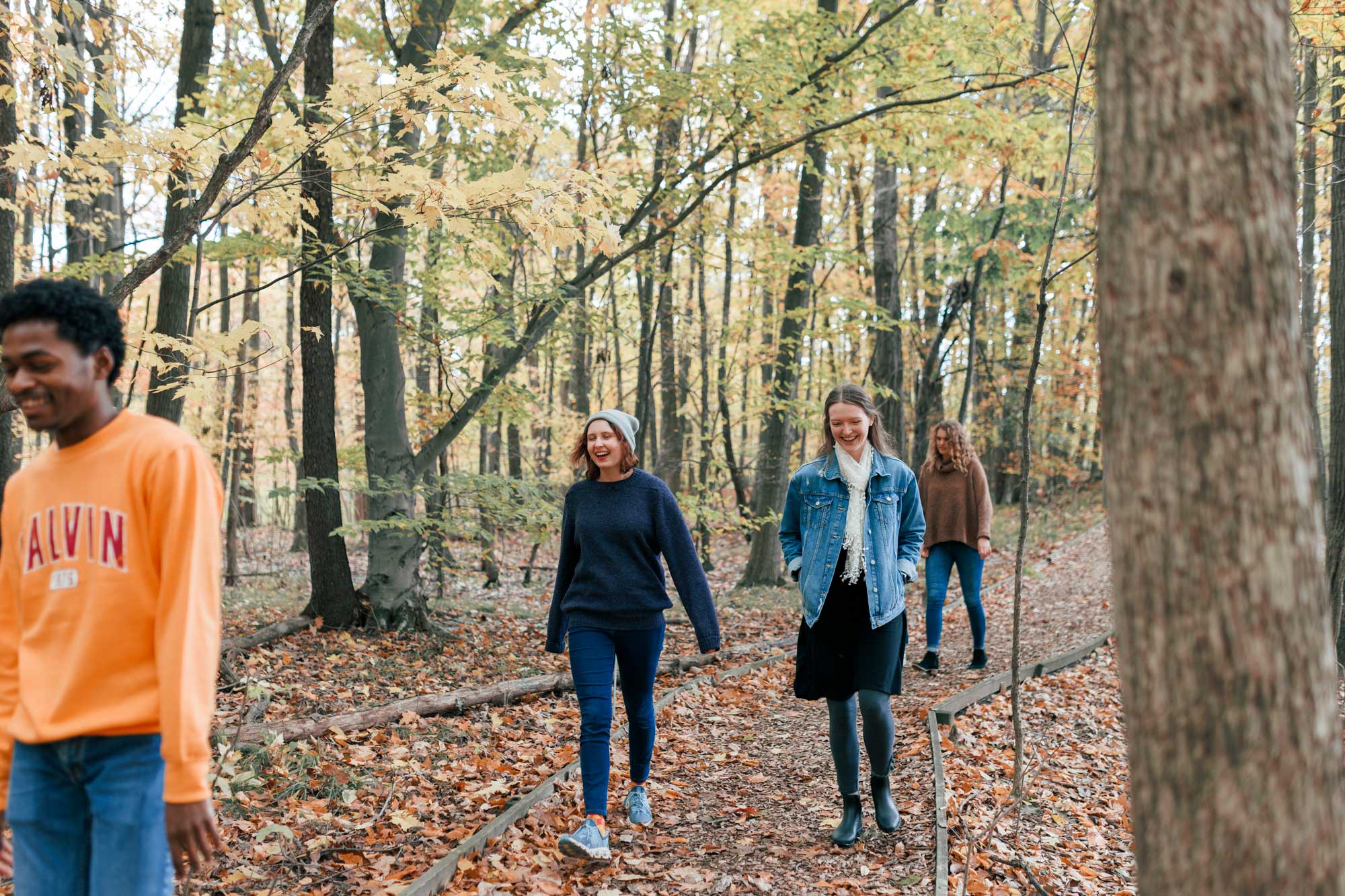 A group of Calvin students walking on a trail in the woods, with the leaves changing yellow in the fall.