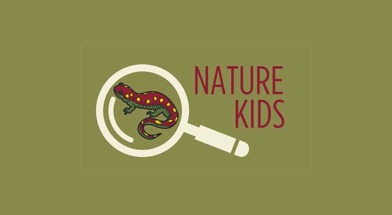 Nature Kids logo with a magnifying glass on a lizard.