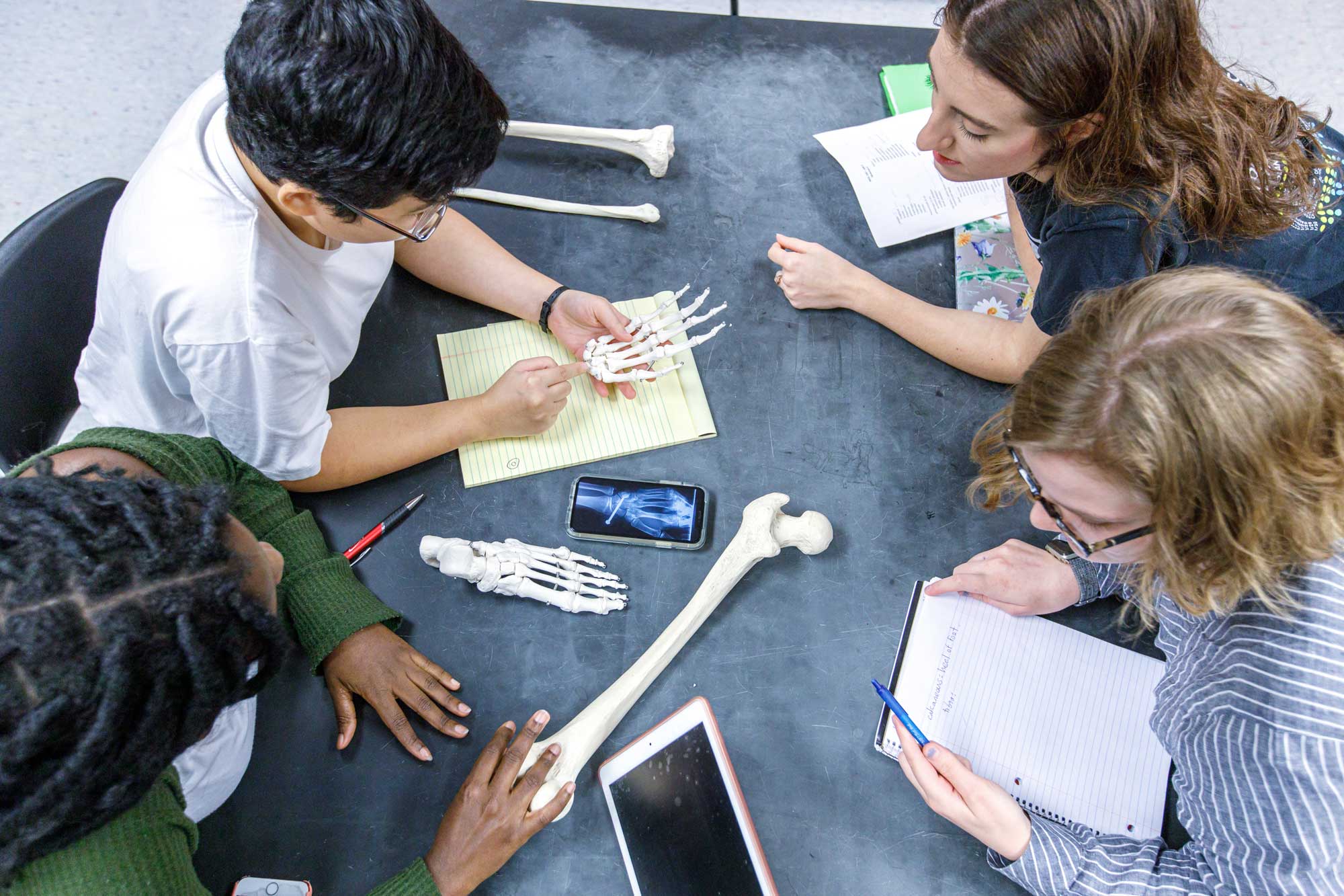 Four students sit around a table with skeleton models for learning human anatomy.