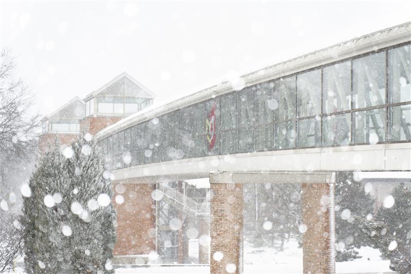 Snowy landscape photo at Calvin University
