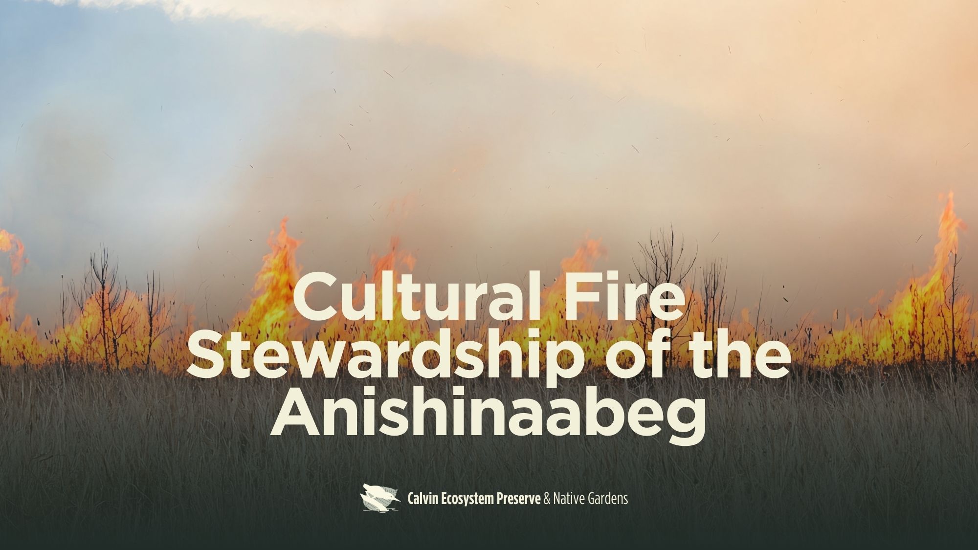 title header w prescribed burn scene in background