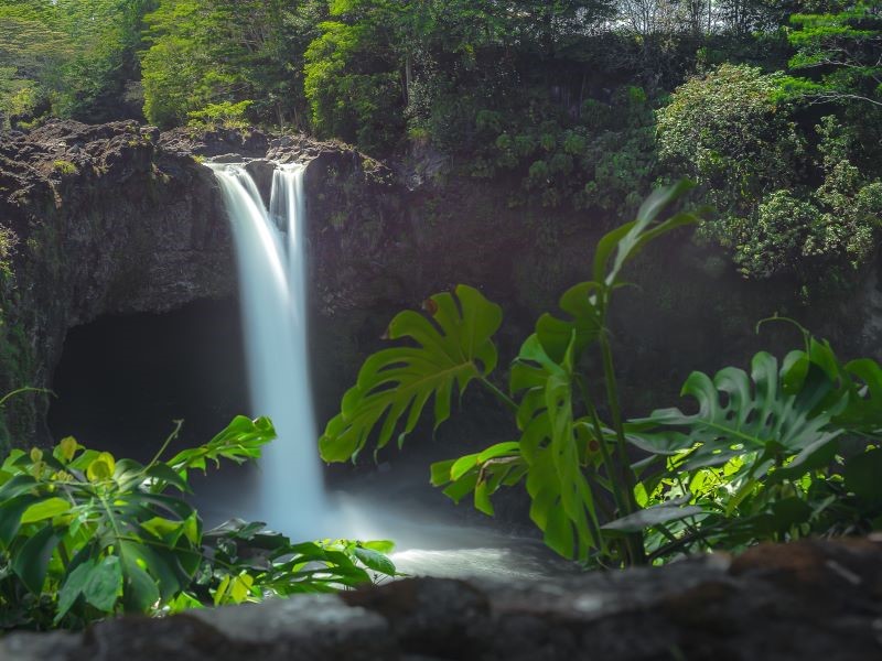 Waterfall and lush leaves in Hawaii