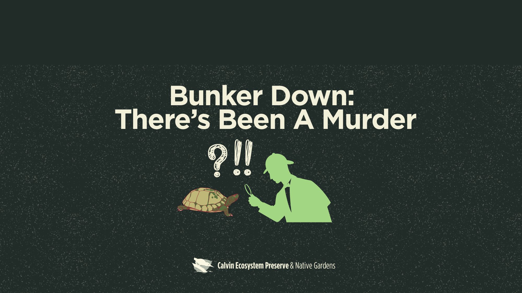 title header with detective/turtle/mystery punctuation