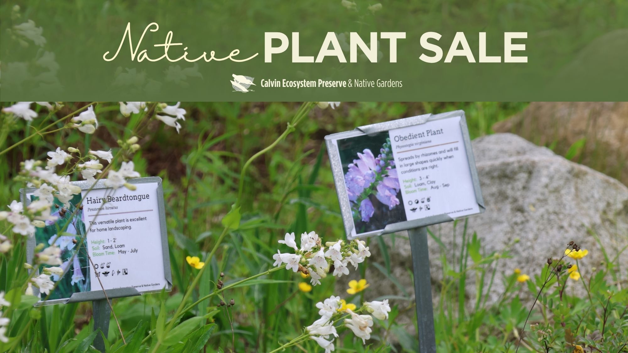 header pic of native plant signs