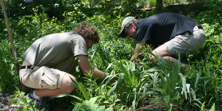 Biology major Tyler Bleeker works with professor Dave Warners in a rain garden near DeVries Hall.