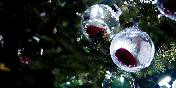 2011_christmas_banner714