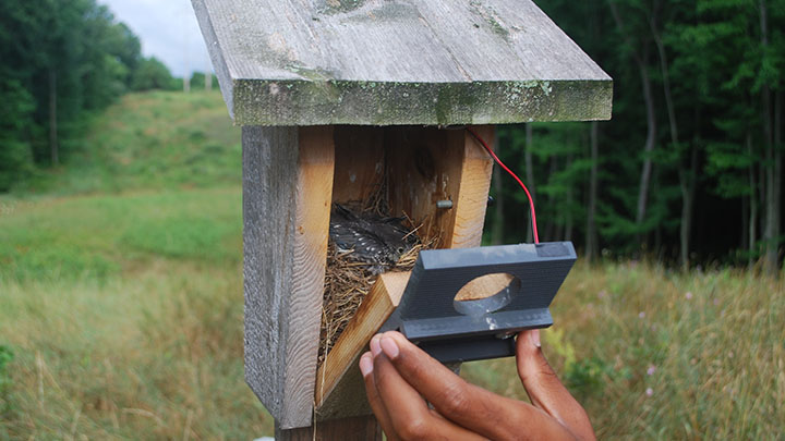 A hand opening up a bird feeder with a bird nesting inside.