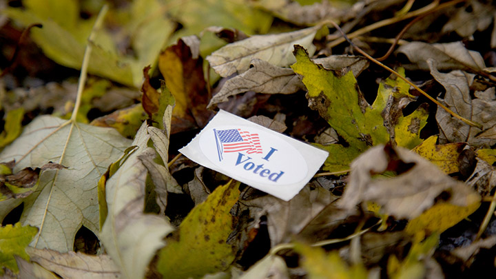 An "I voted" sticker sits atop a pile of fallen leaves on the ground.