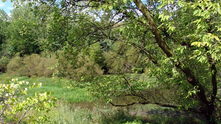 The expansion to the Ecosystem Preserve includes a new trail which opened to visitors in fall 2017.