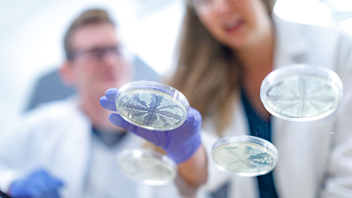 A student and faculty member doing research in a lab.