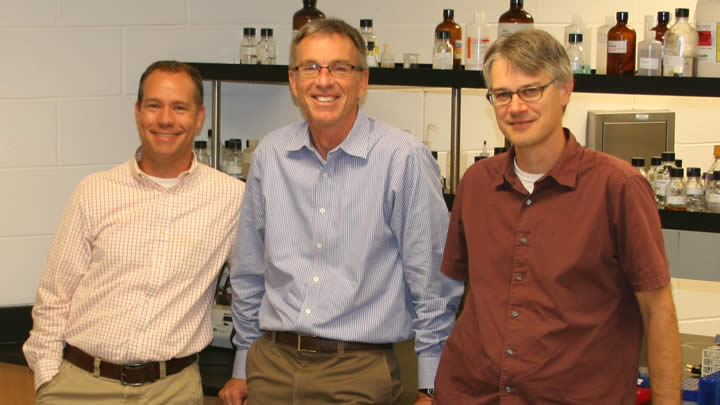 Chemistry professors Brendan Looyenga, Larry Louters and Eric Arnoys have teamed up in researching GLUT1.