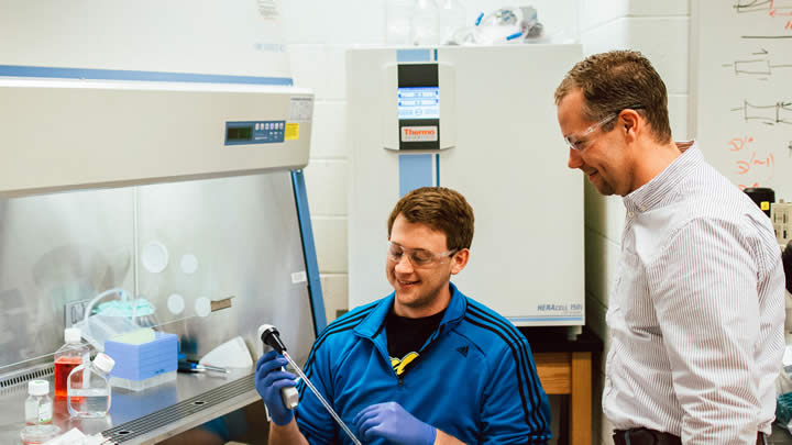 Calvin VanOpstall and Brendan Looyenga collaborate on research. The two are using the tissue culture hood and incubator, which were paid for with funding from the NIH grant.