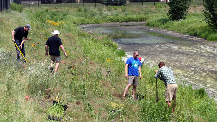 A group of volunteers doing restoration work near Kreiser Pond in Grand Rapids