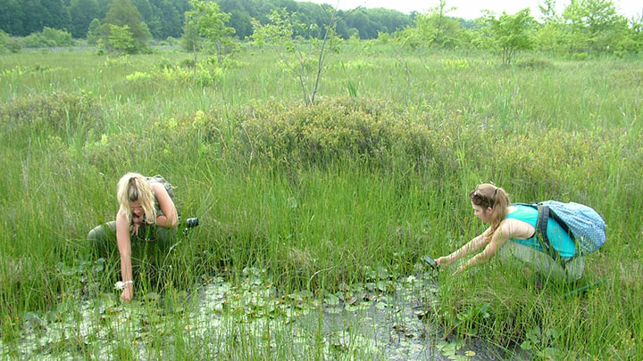 Calvin senior Jenna Van Donselaar's (right) summer research experience is taking her to remote places where almost every plant is rare.