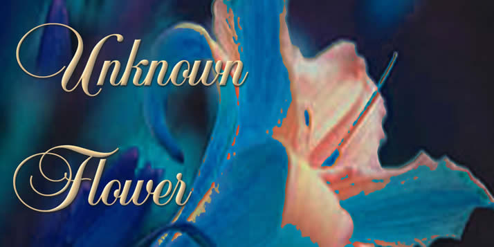 UnknownFlower714