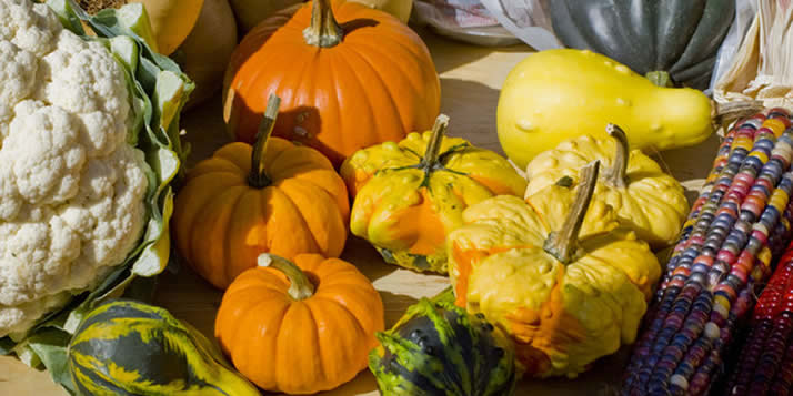 pumpkins-gourds714