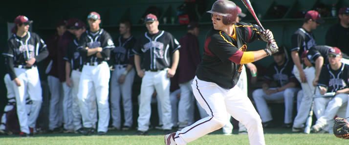 knoll-records-schepel-banner