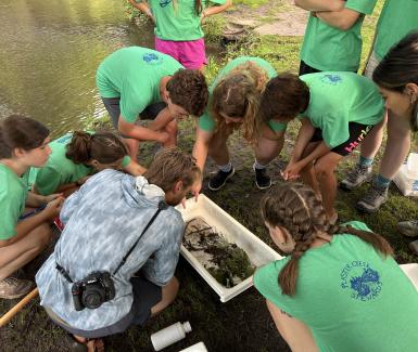 Discovering macro invertebrates  