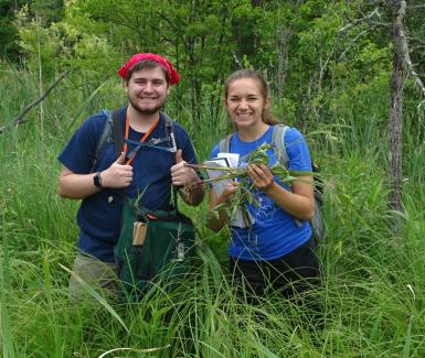 Researchers study native plants  