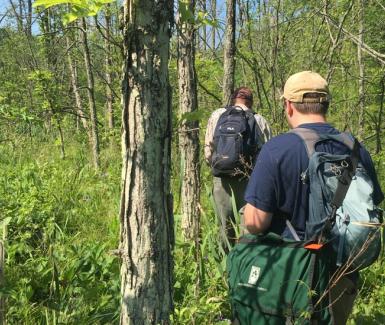 Researchers explore the woods  