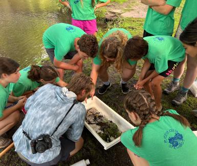 Discovering macro invertebrates  