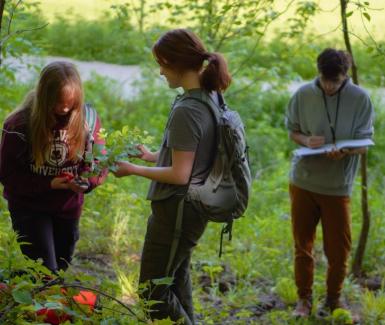 Researchers catalogue native plants  