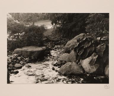 Annalise Borger, Studio Art BFA - Intro to Photography, 2025