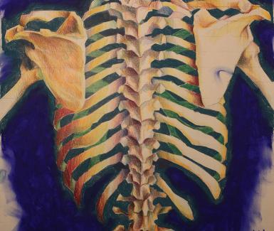 Morgan Dykstra, Studio Art BFA - Intermediate Drawing, 2025