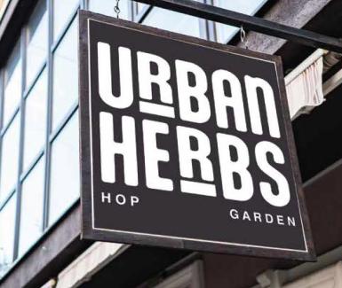 Taylor Sanborn, Integrated Branding, Arts 355 - GD3  