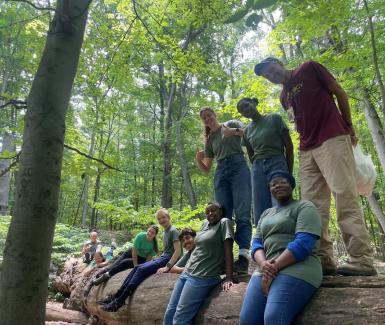 Transplanting at the greenhouse  