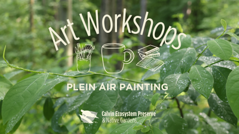 Preserve plein air workshop