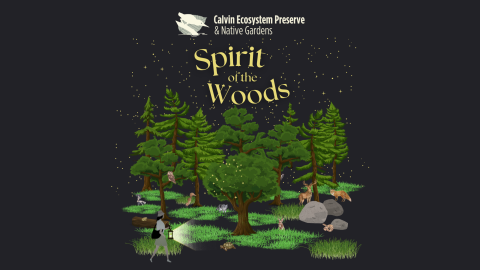 Spirit of the Woods