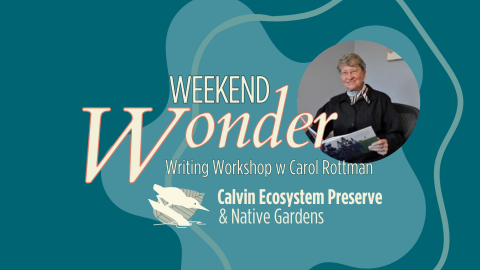 Preserve writing workshop