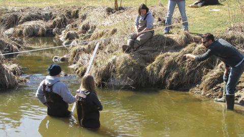 Plaster Creek stewards working in the creek wearing waders