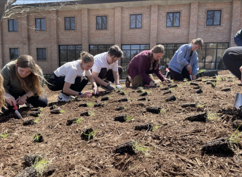Seeds of Service: Celebrate 150 years of Calvin with hands in the soil and hearts rooted in community!