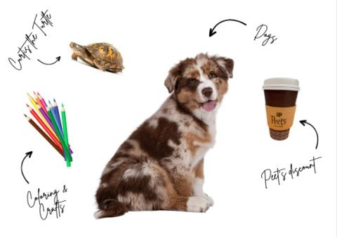 Recharge for finals with therapy dog turtles coloring crafts and Peets coupon giveaway