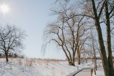 The ecosystem preserve trail winds through an open field on one side, and large trees on the other, covered in snow.