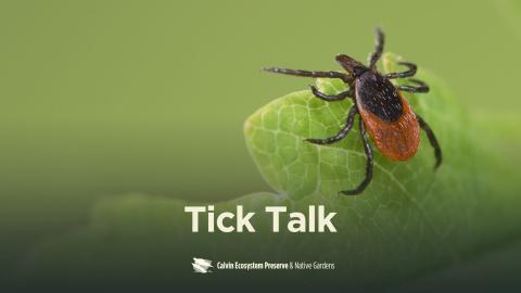 title header with green background and a big tick