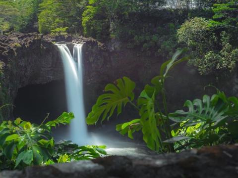 Waterfall and lush leaves in Hawaii